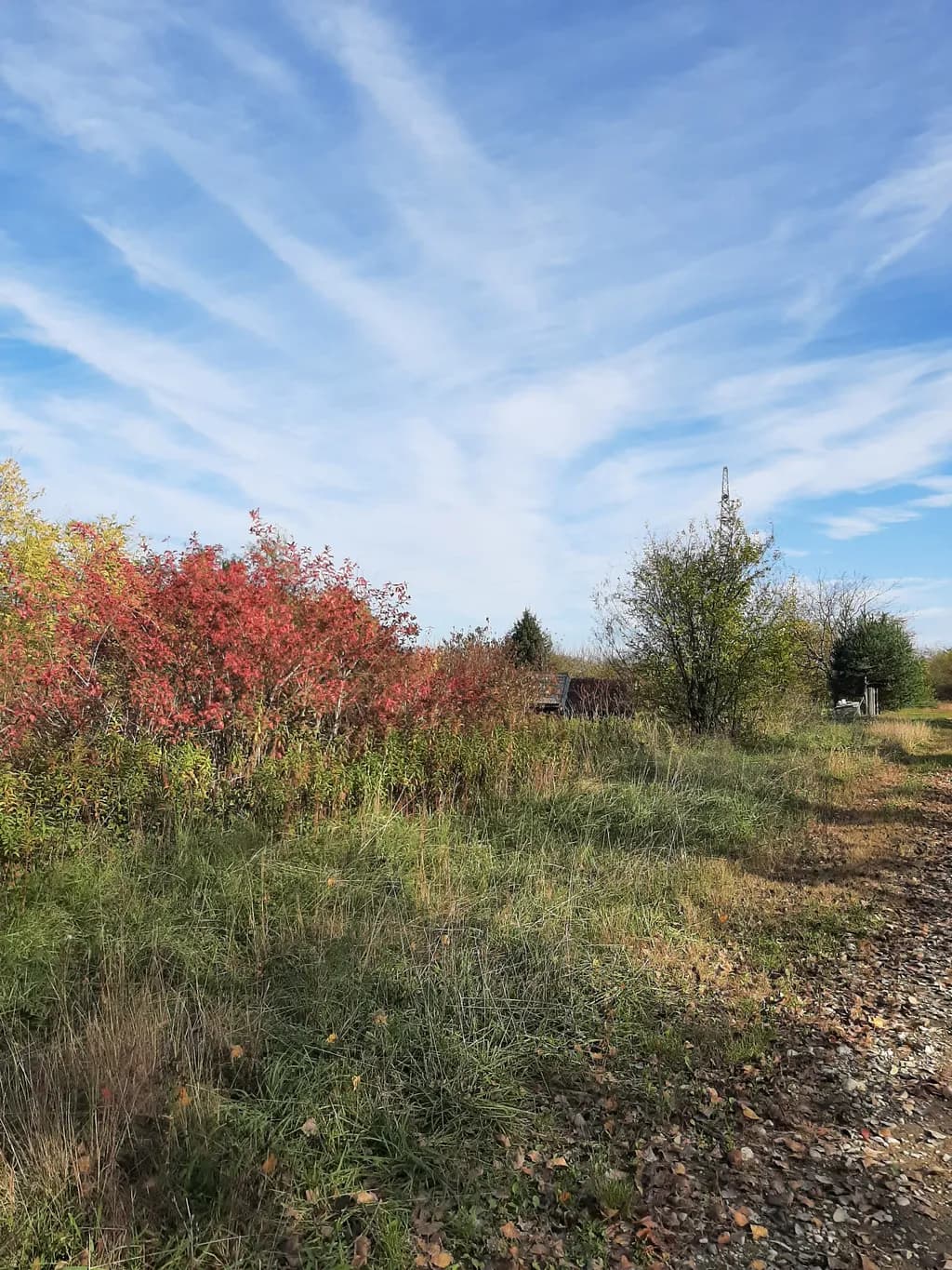 Autumn Pathway