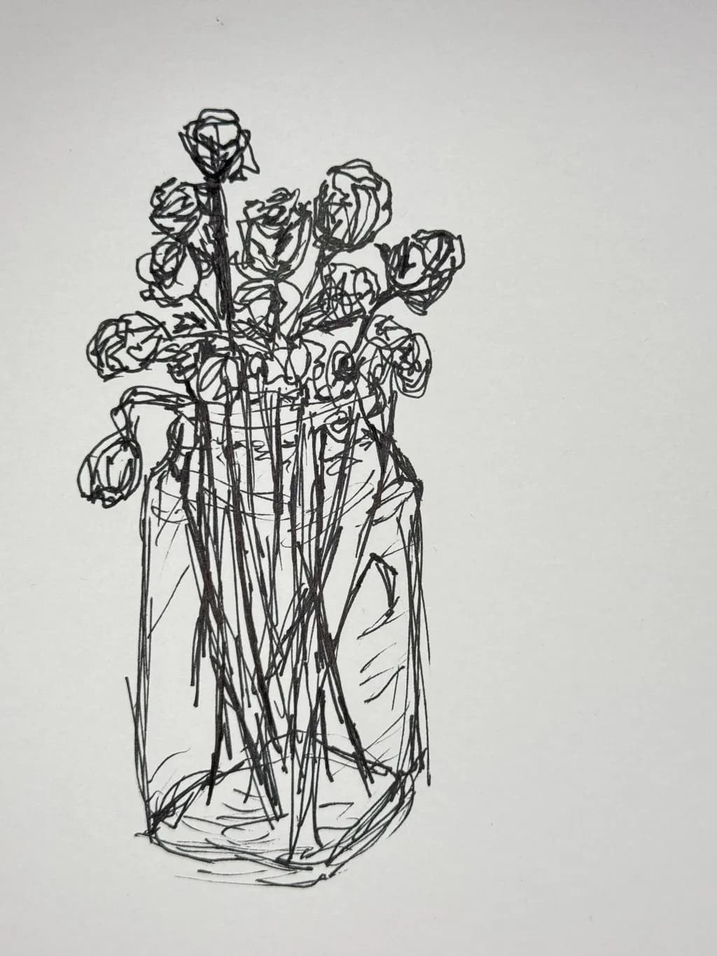 Whispers of Time: A Sketch of Withered Roses in a Glass Jar