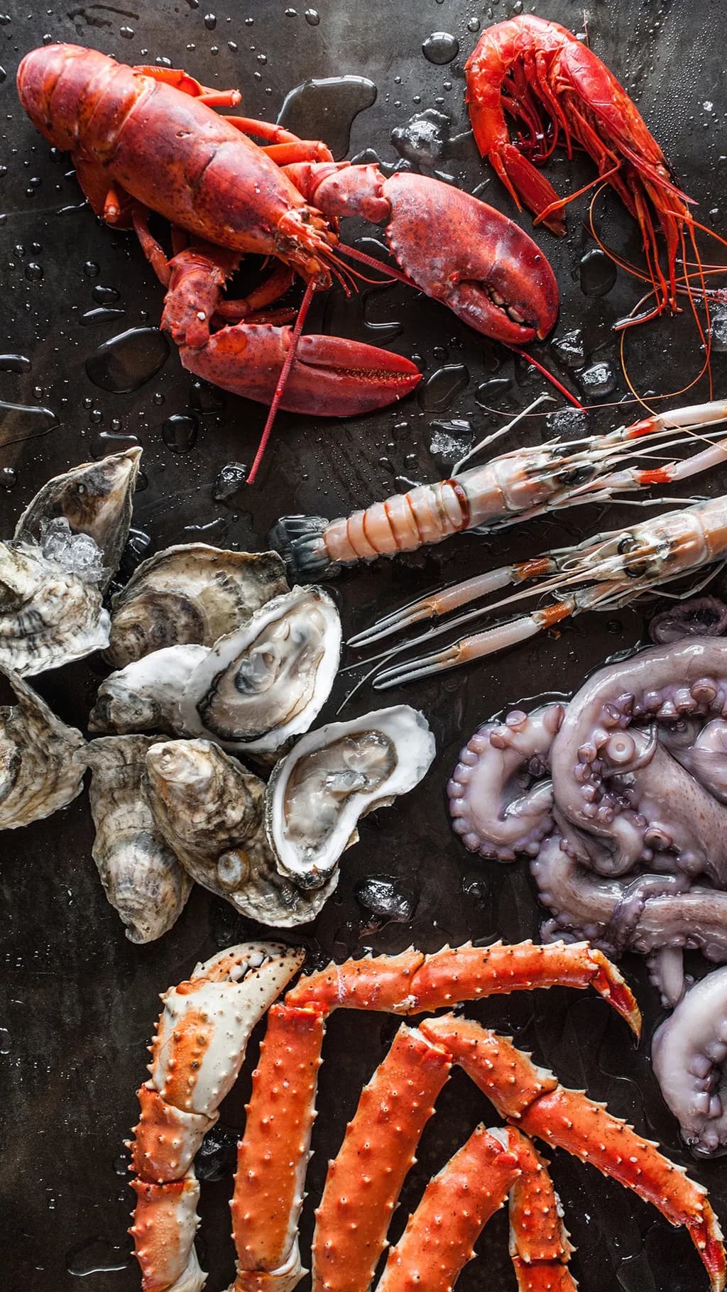 Ocean's Bounty: A Vibrant Display of Fresh Seafood Delights