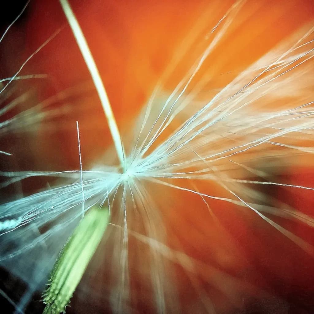 Whispers of Nature: A Macro Exploration of Delicate Threads and Vibrant Hues