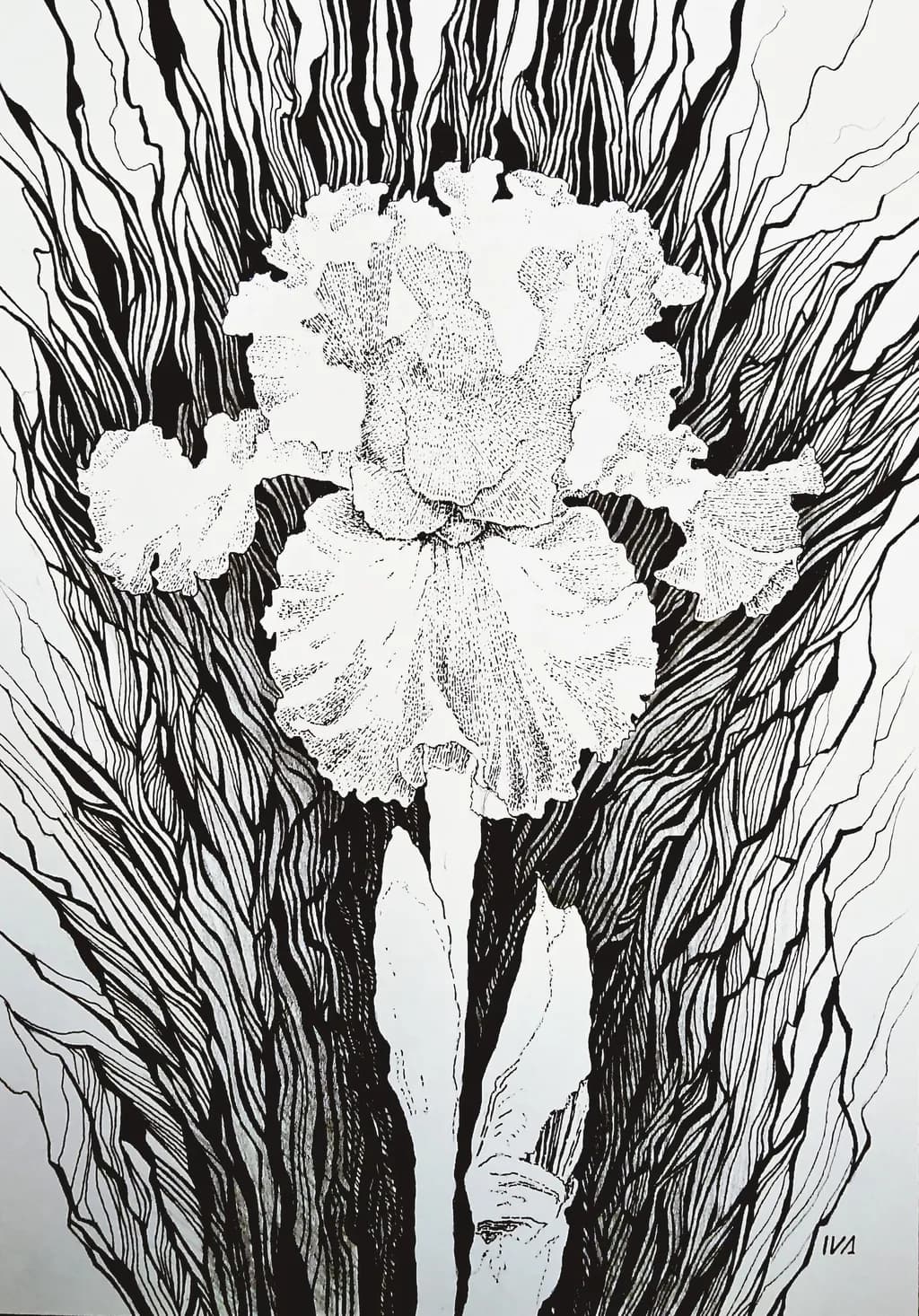 Iris Flow