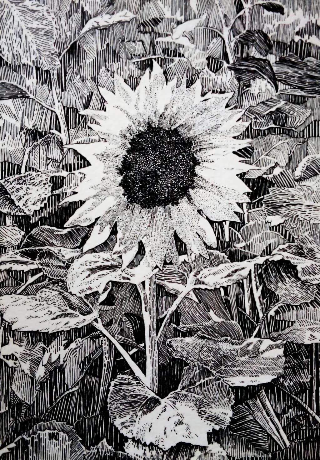 Sunburst Contrast