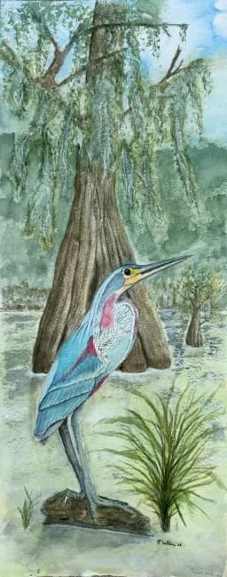 Heron in the Cypress Swamp