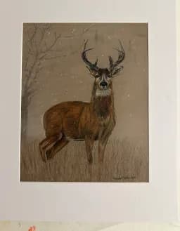 Winter Stag