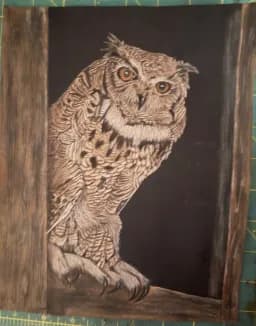 Mighty Great Horned Owl