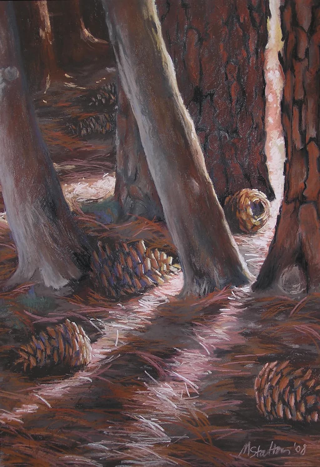Forest Ground Study