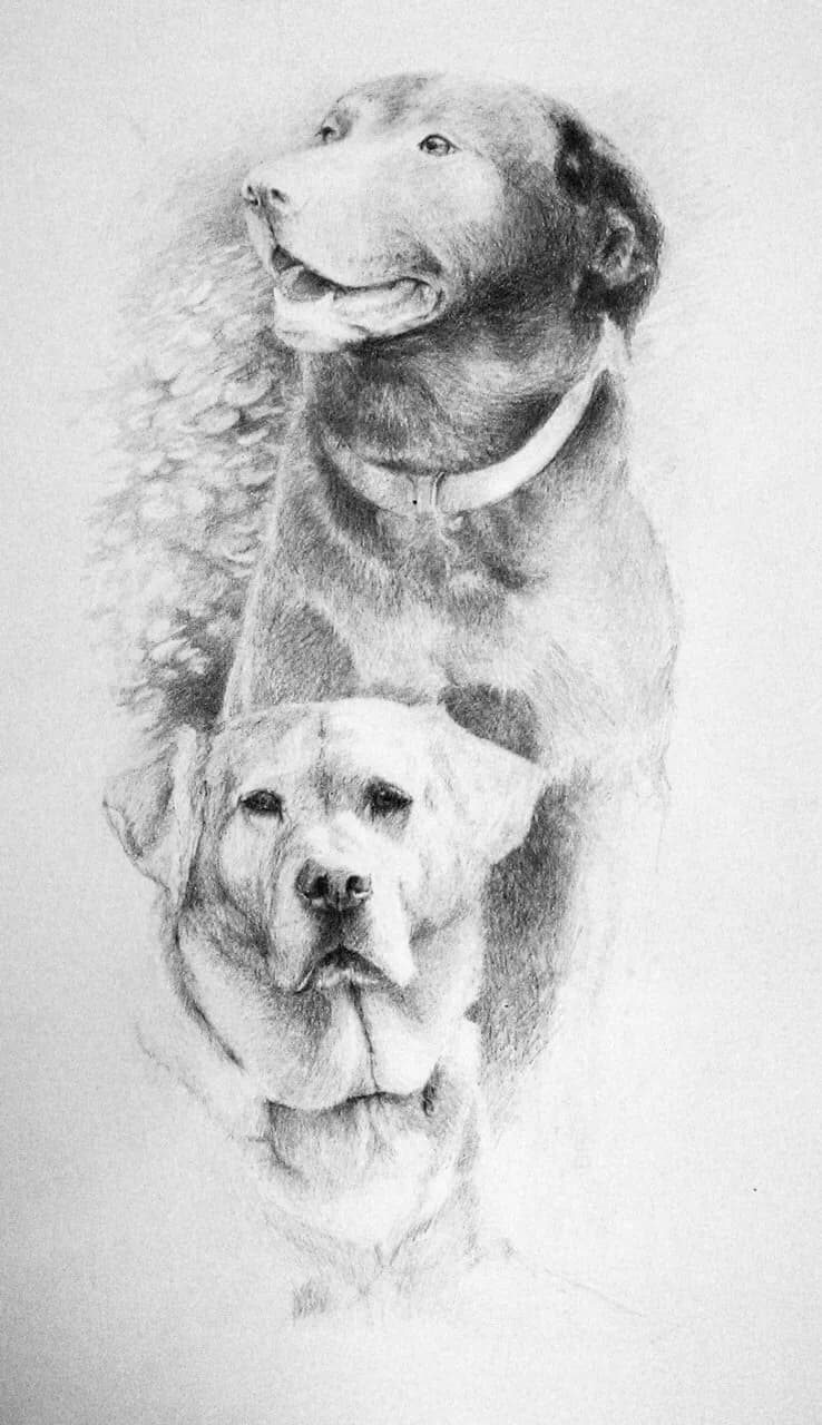 Eternal Companions: A Poetic Tribute to the Loyalty of Dogs