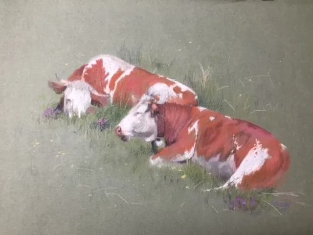 Serenity in Pasture: Resting Cows Amidst Nature's Embrace