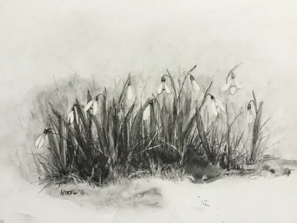 Whispers of Spring: A Delicate Dance of Snowdrops in Charcoal Elegance