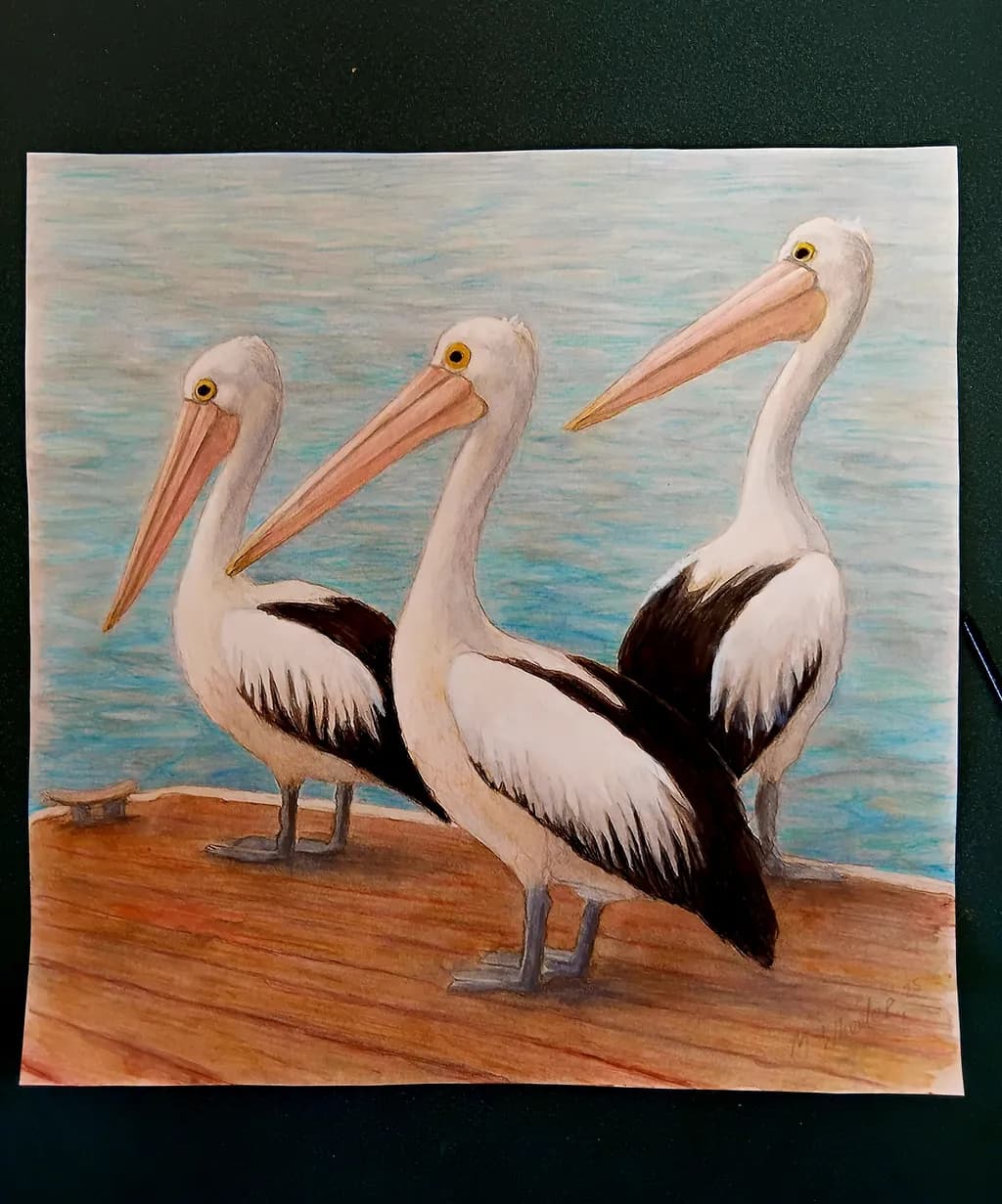 Tranquil Shoreline Trio: Watercolor Pelicans in Harmony