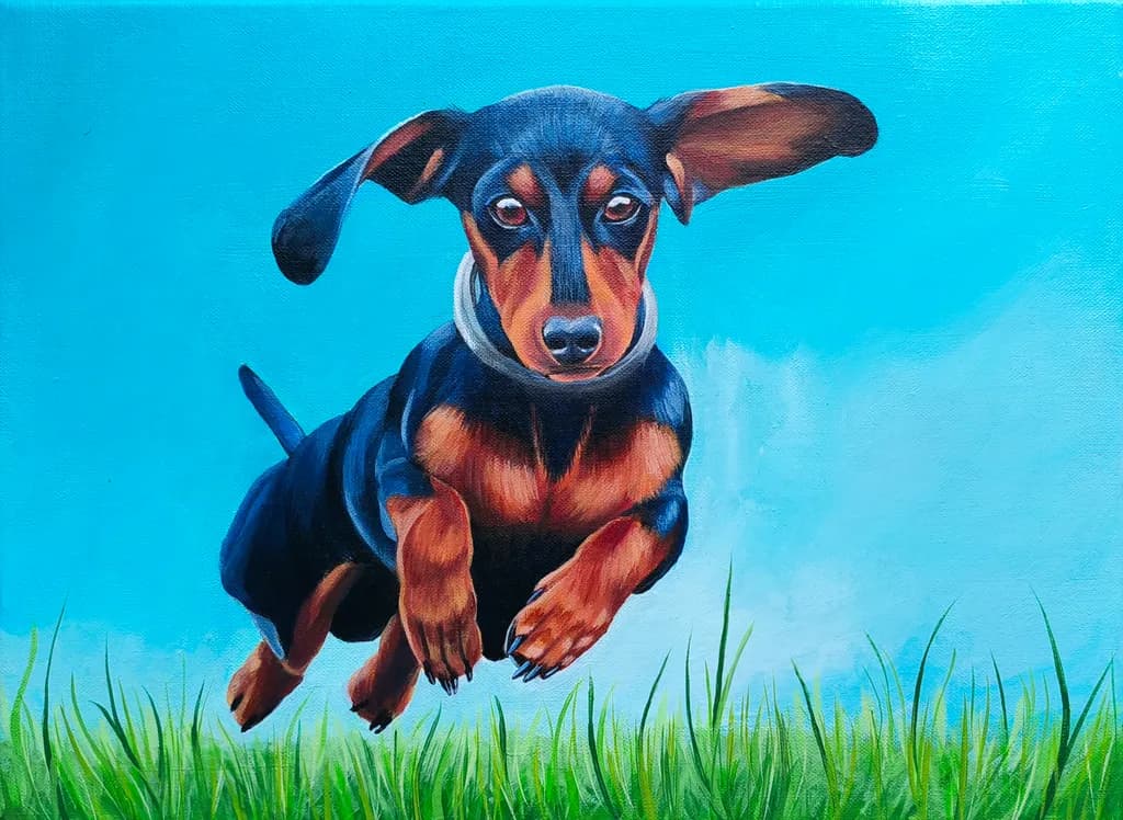 Joyful Leap: A Playful Dachshund in Mid-Flight Against a Bright Blue Sky