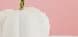 Whimsical White Pumpkin: A Touch of Autumn Elegance on Soft Pink Background