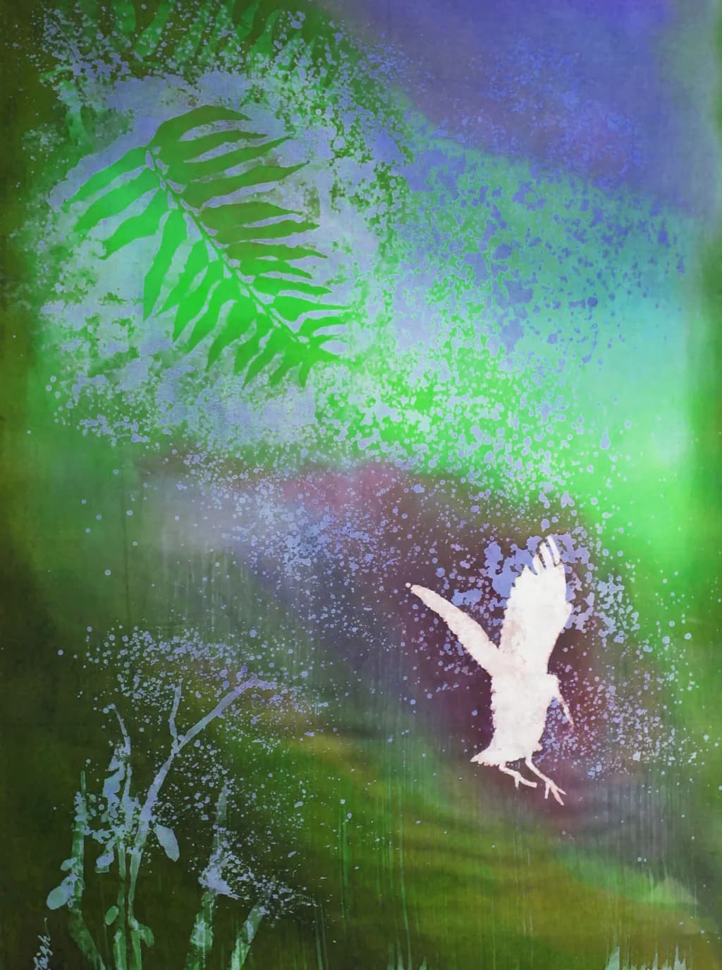 Splash Bird and Fern
