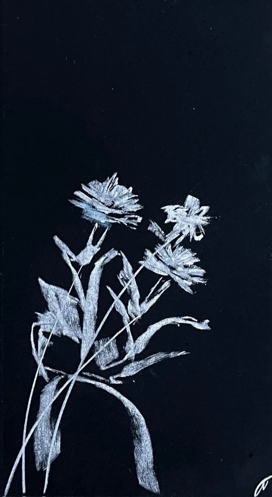 Whispers of White Blooms: A Serene Floral Embrace on Black Canvas