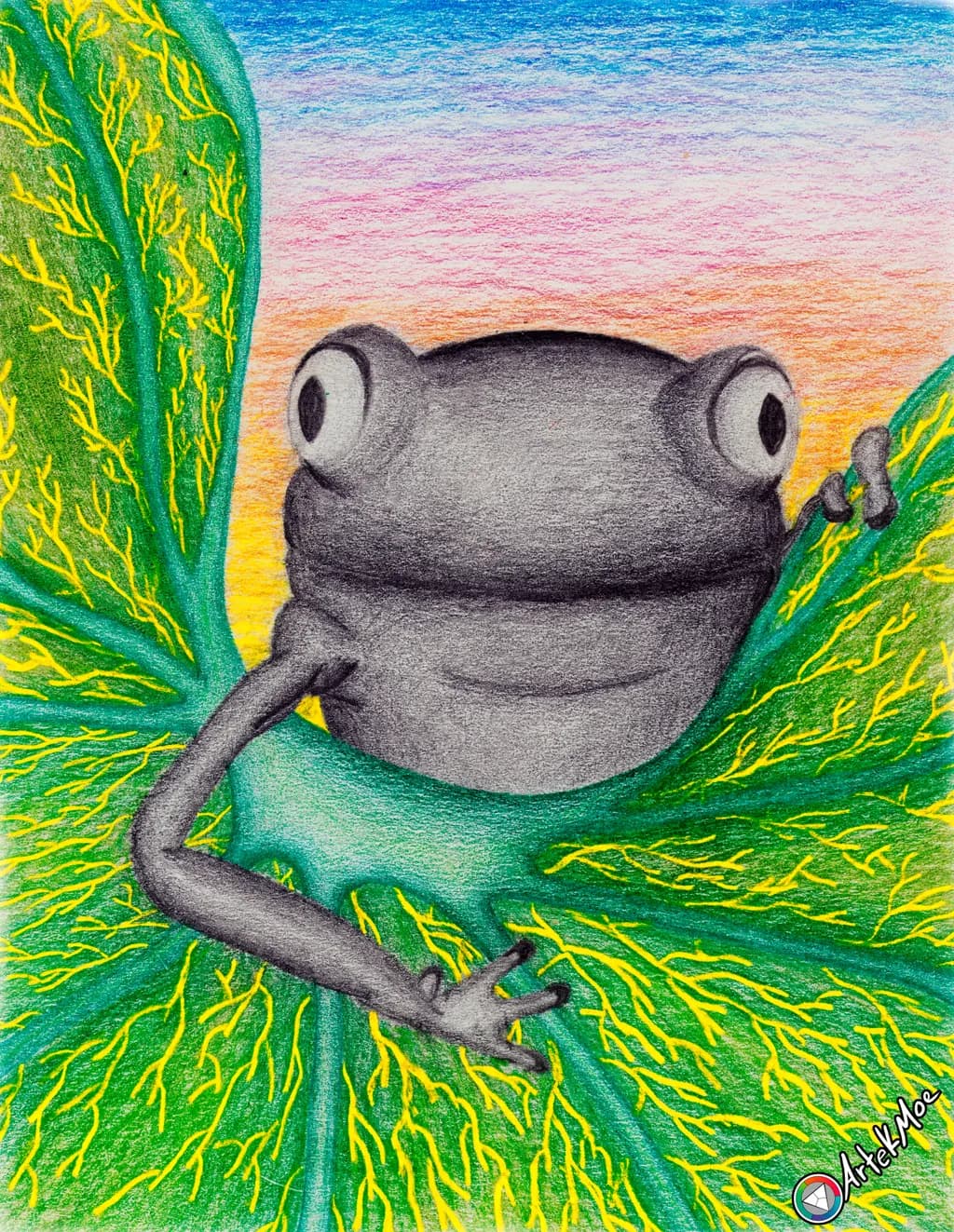 Dusklight Frog