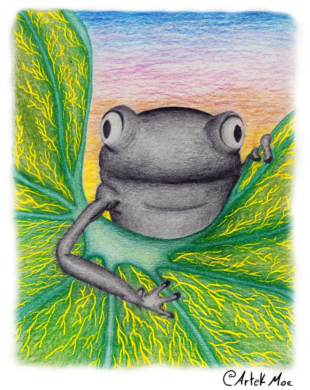Leaf Frog