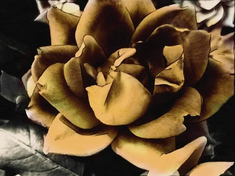 Golden Elegance: A Captivating Floral Embrace in Shades of Autumn