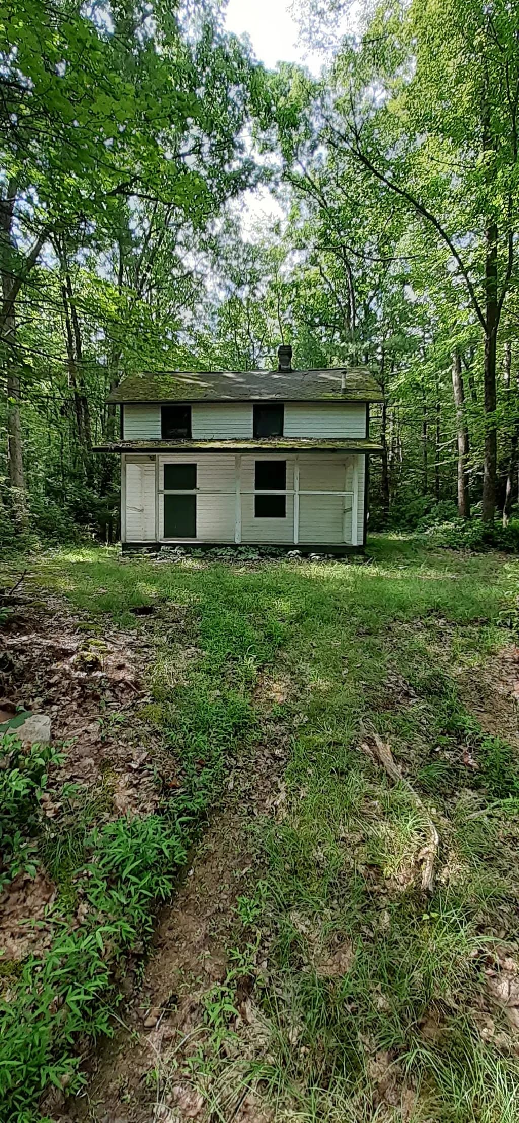 Whispers of the Forgotten: An Abandoned House Embraced by Nature's Greenery