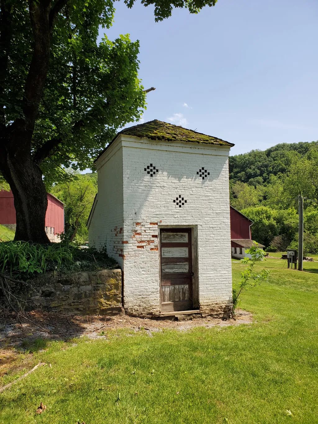Whispers of Time: The Forgotten Structure Amidst Nature's Embrace