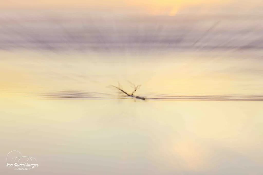 Serenity in Reflection: A Tranquil Dance of Water and Light