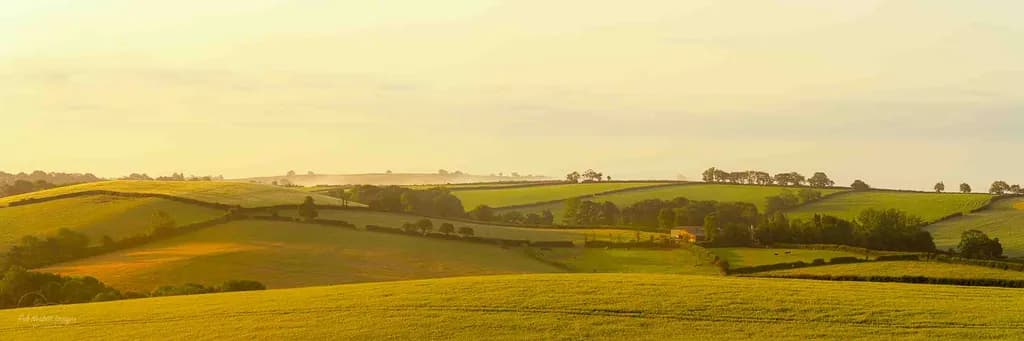 Whispers of Dawn: A Serene Landscape Awash in Golden Light