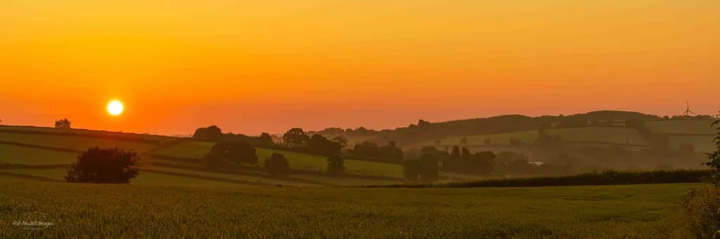 Golden Horizon: A Serene Sunset Over Rolling Fields