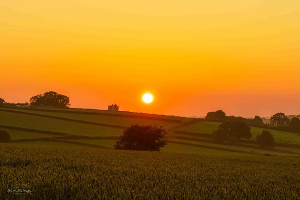 Golden Serenity: A Tranquil Sunset Over Rolling Fields