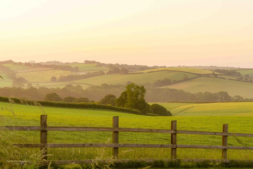 Whispers of Dawn: A Serene Landscape Embraced by Golden Light