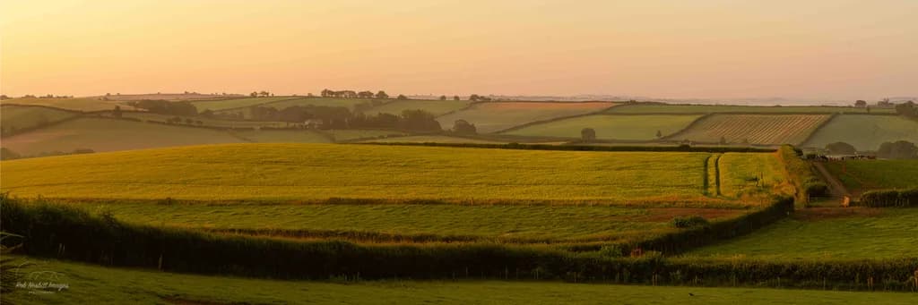 Golden Serenity: A Tranquil Sunset Over Lush Fields and Rolling Hills