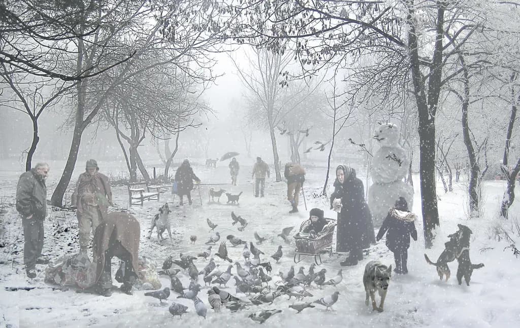 Whispers of Winter: A Serene Stroll Through a Snowy Park