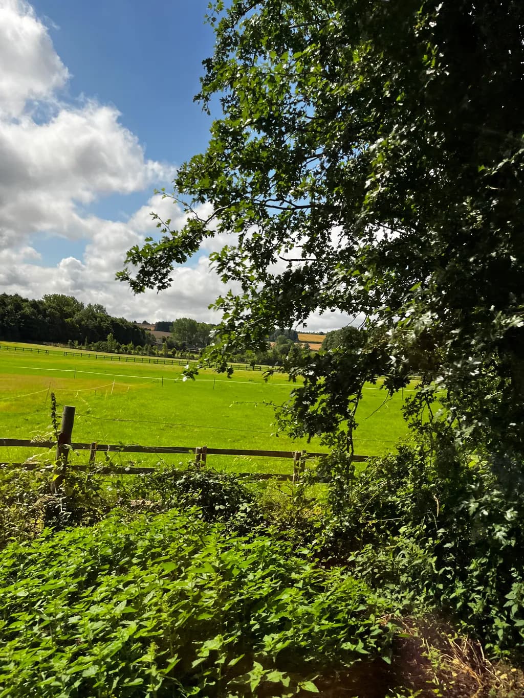 Whispers of Tranquility: A Serene Landscape Beneath the Cloudy Sky