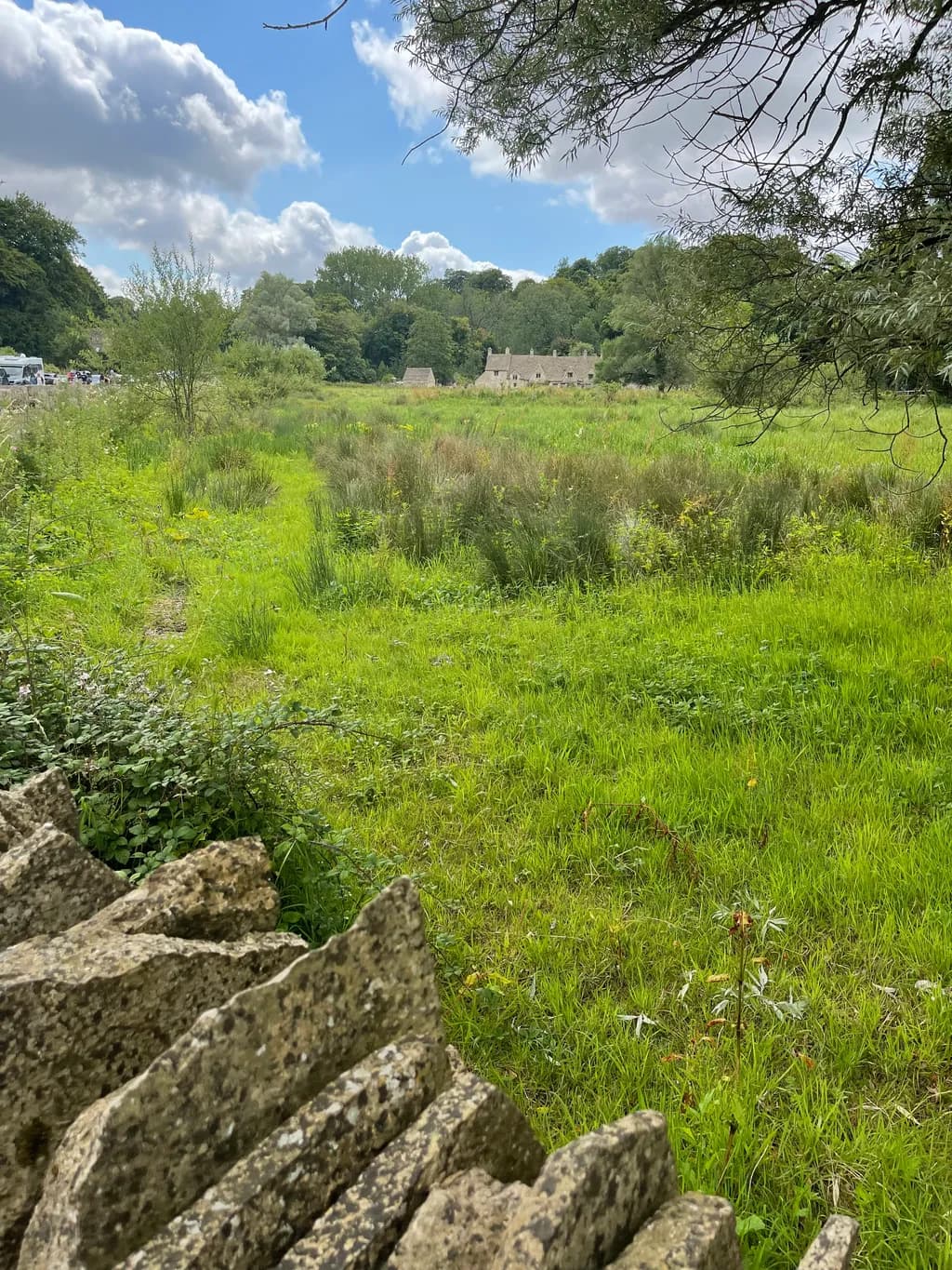 Whispers of Nature: A Serene Landscape of Ruins and Greenery Under Cloudy Skies