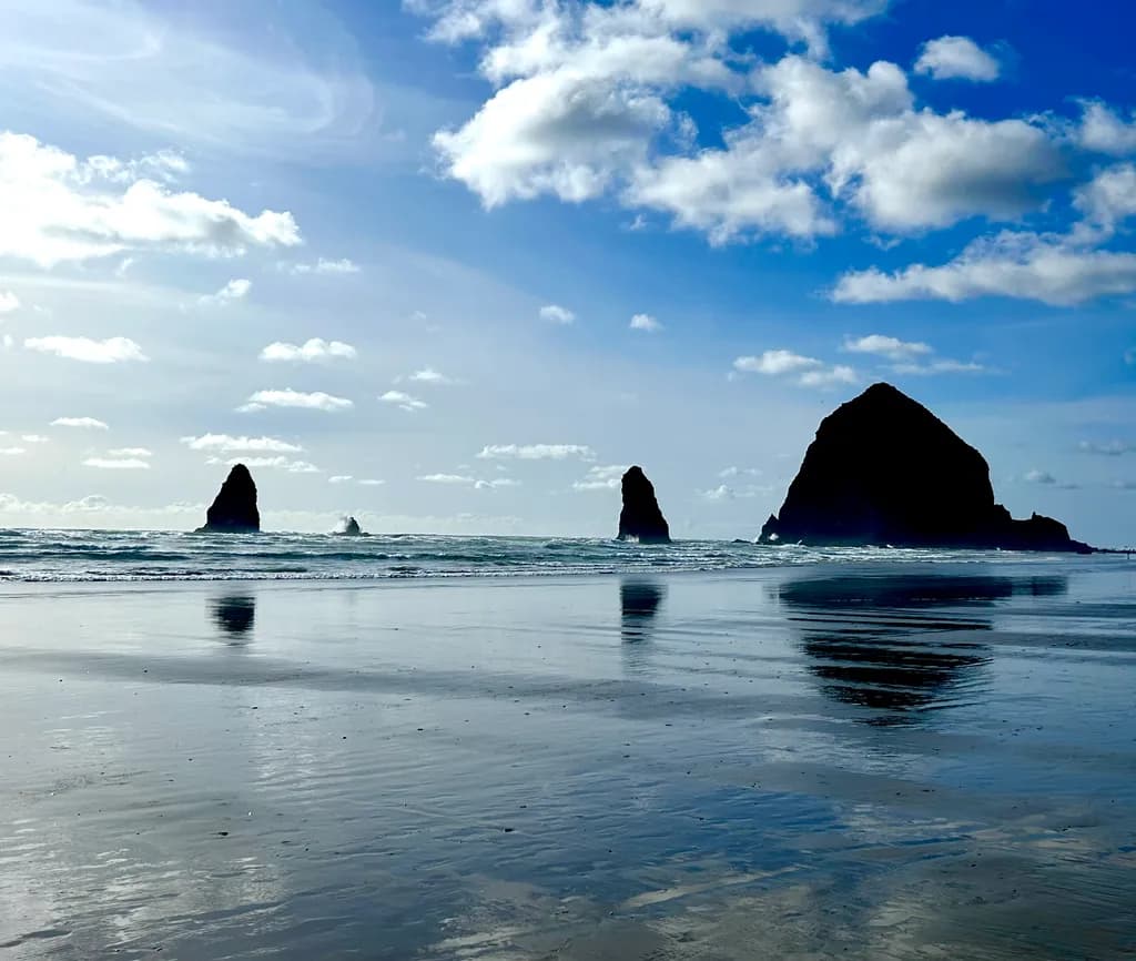 Whispers of the Ocean: A Serene Reflection on the Shoreline