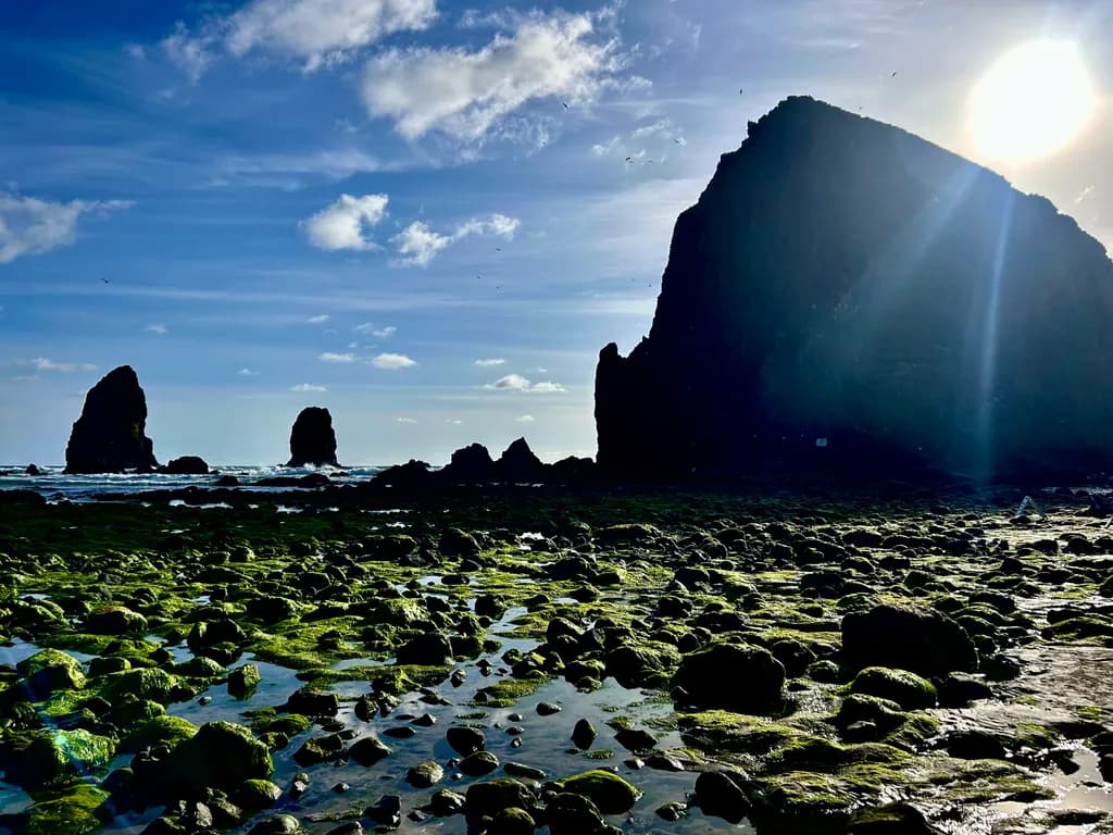 Whispers of the Ocean: A Serene Encounter with Nature's Majesty at Cannon Beach