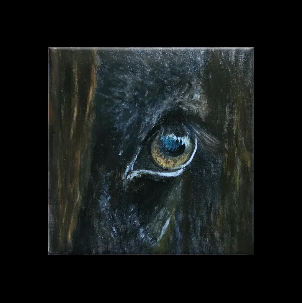 Whispers of the Wild: A Close-Up of Equine Majesty