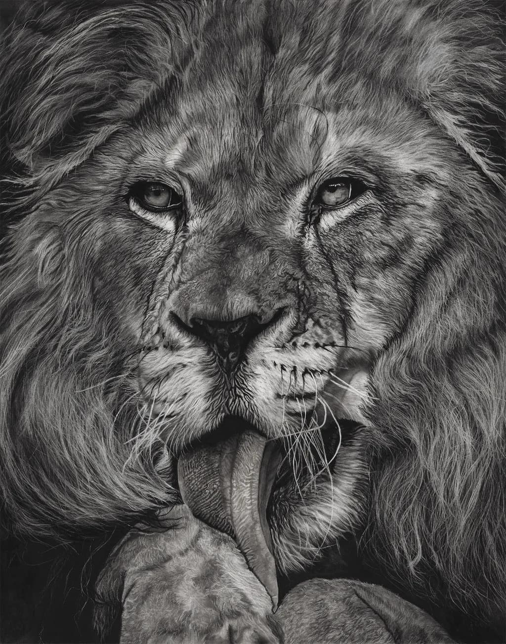 Majestic Gaze: The Intensity of a Lion's Spirit in Monochrome Artistry