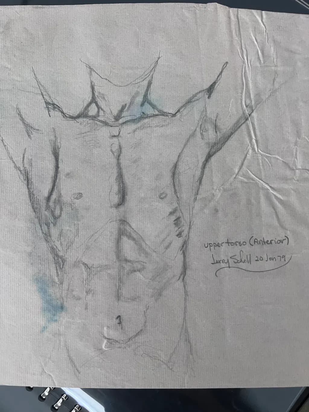 Anatomical Elegance: A Study of the Upper Torso in Sketch Form