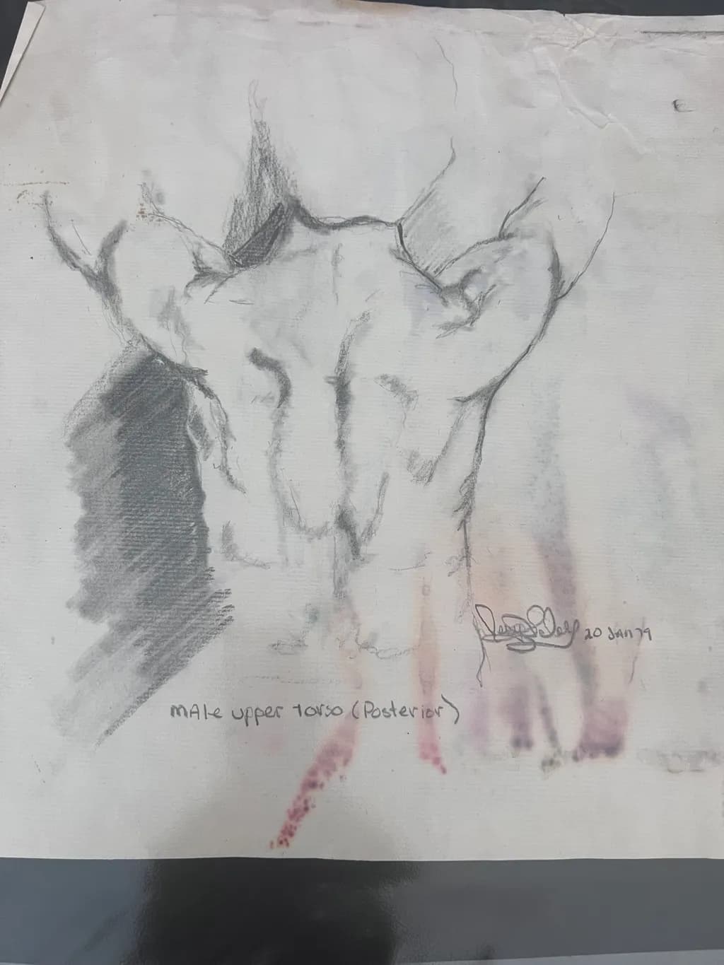 Ethereal Strength: A Male Torso Sketch Celebrating Tattoo Artistry