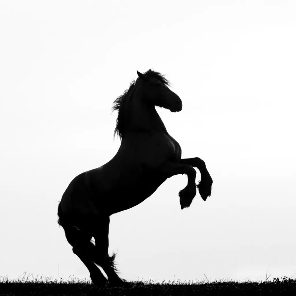 Majestic Equine Silhouette: A Dance of Power and Grace in Monochrome