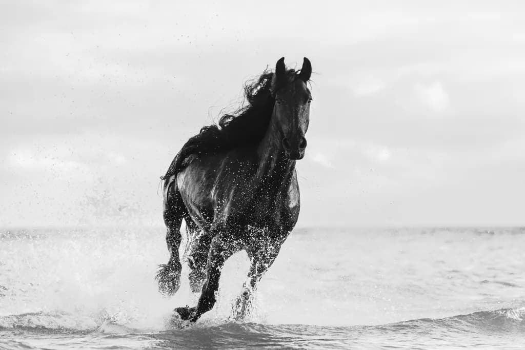 Majestic Freedom: A Black Stallion Galloping Through the Waves