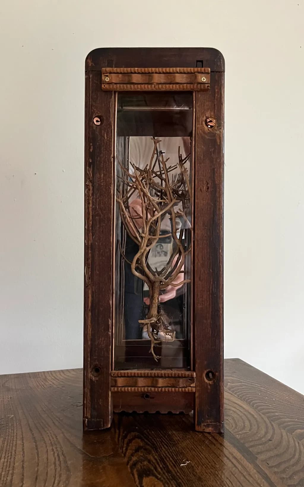 Whispers of Nature: A Preserved Tree in Vintage Glass Display
