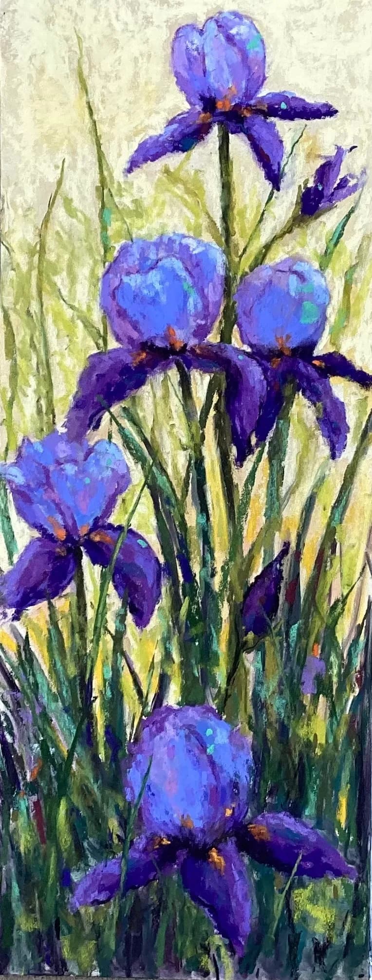 Vibrant Purple Blooms: A Botanical Celebration of Nature's Beauty