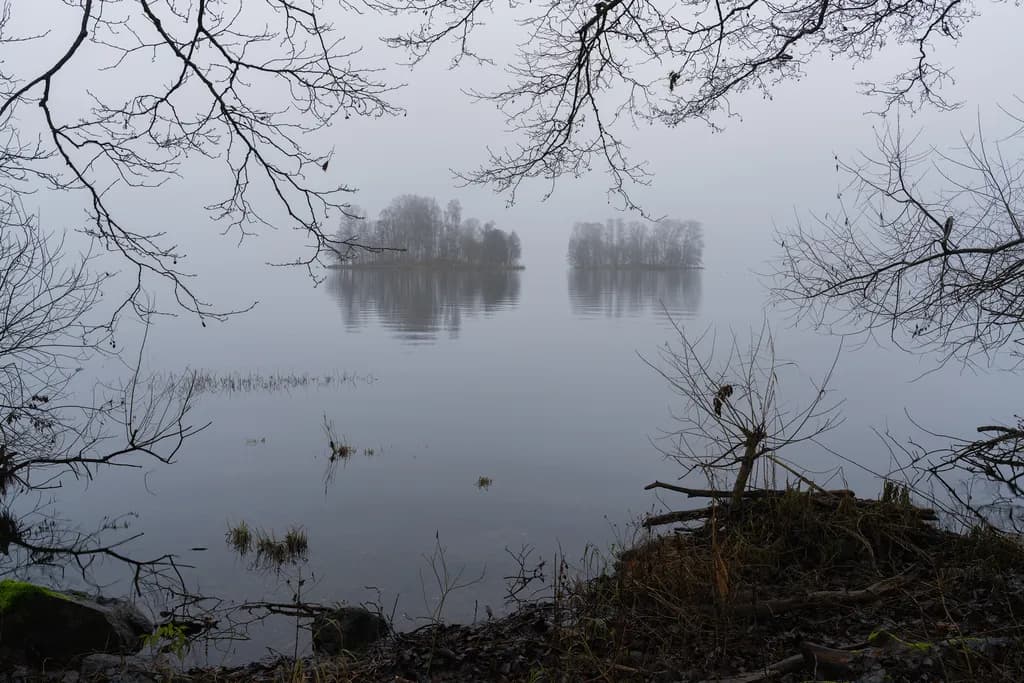 Misty Reflections
