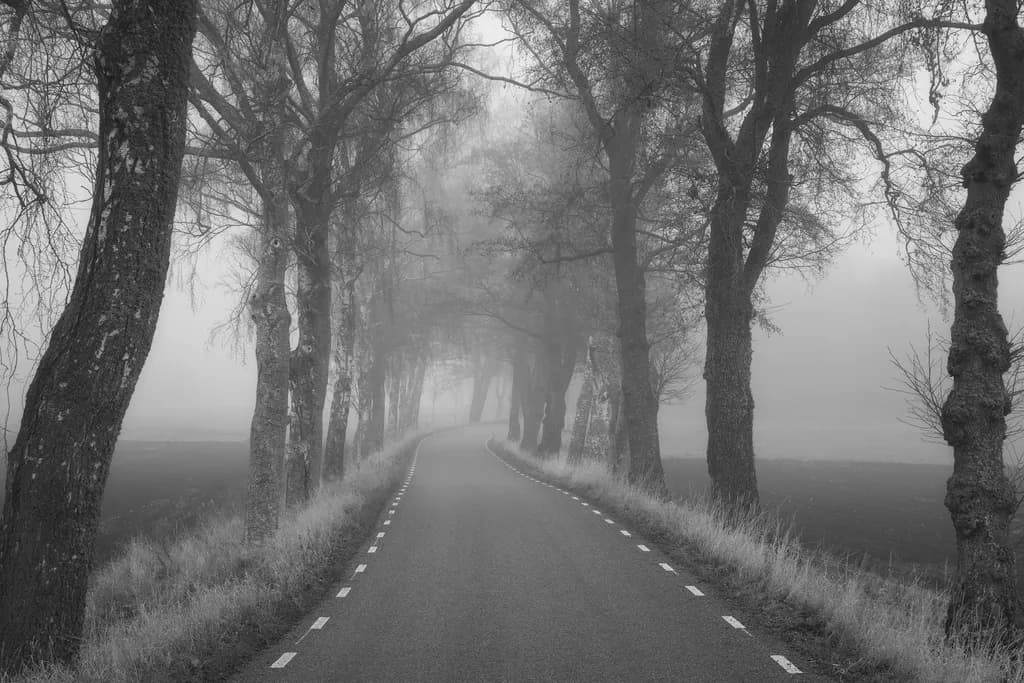 Misty Pathway