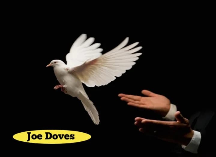 Whispers of Freedom: A White Dove in Flight