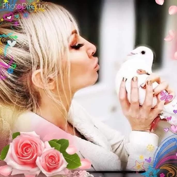 Whispers of Love: A Tender Moment with a Cherished Dove