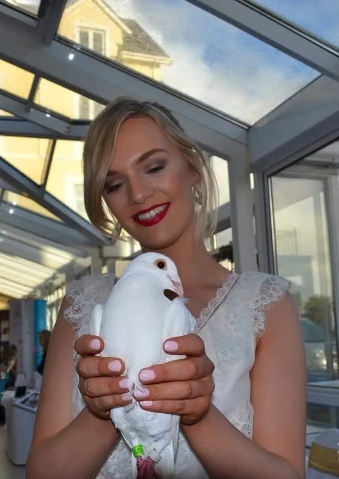 Whispers of Elegance: A Bride's Tender Moment with a White Dove