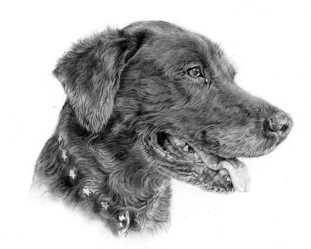 Marley