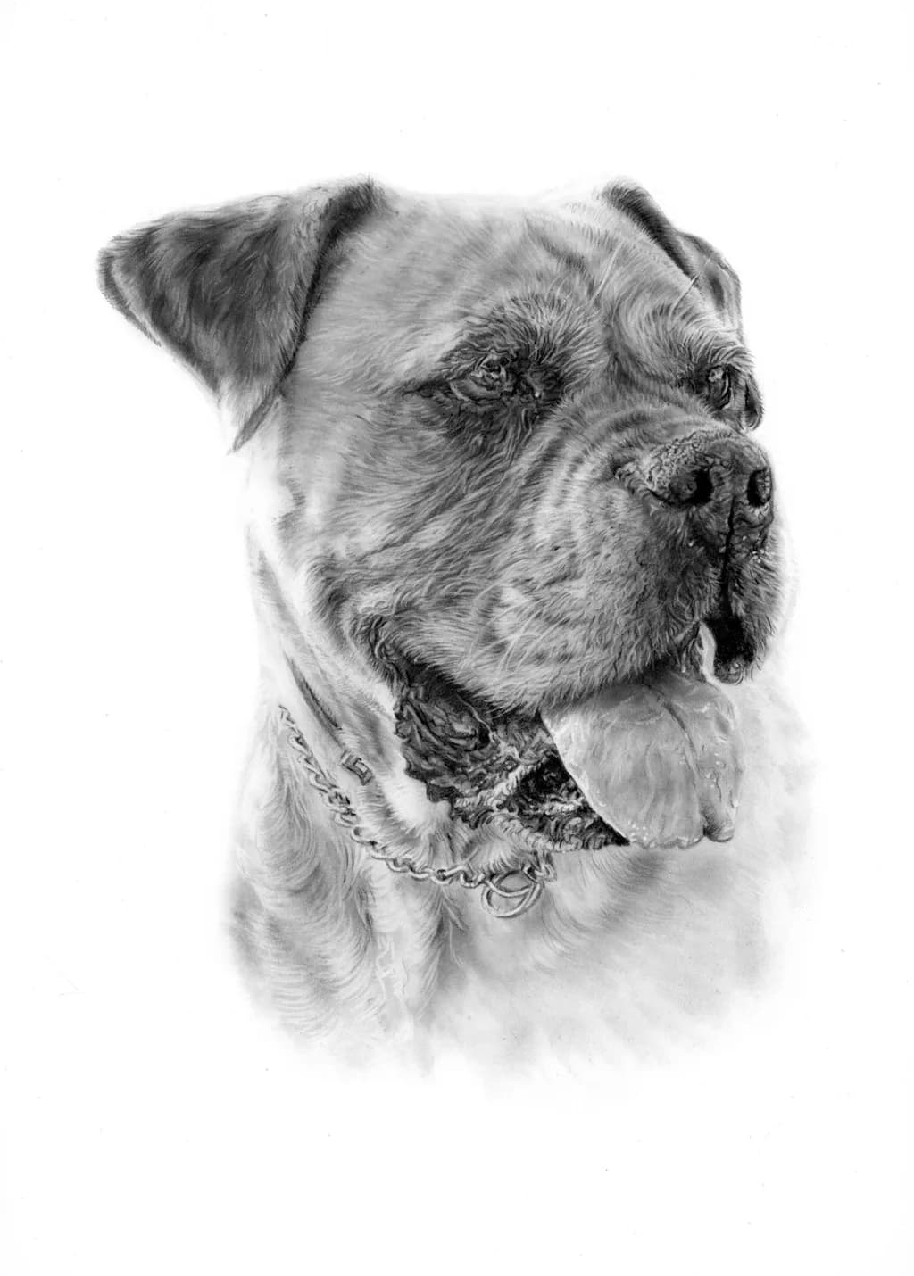 Mastiff Majesty