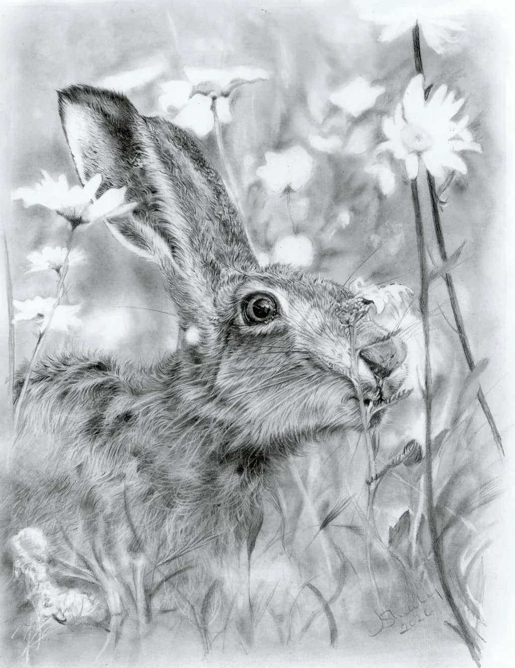 Hare Among Blooms